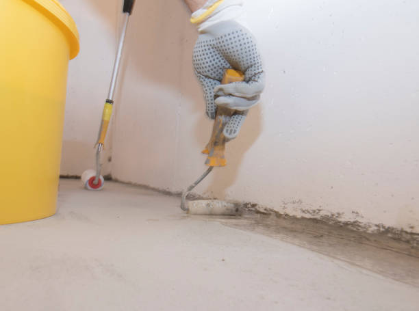 Best Pest Exclusion Services  in Clermont, GA